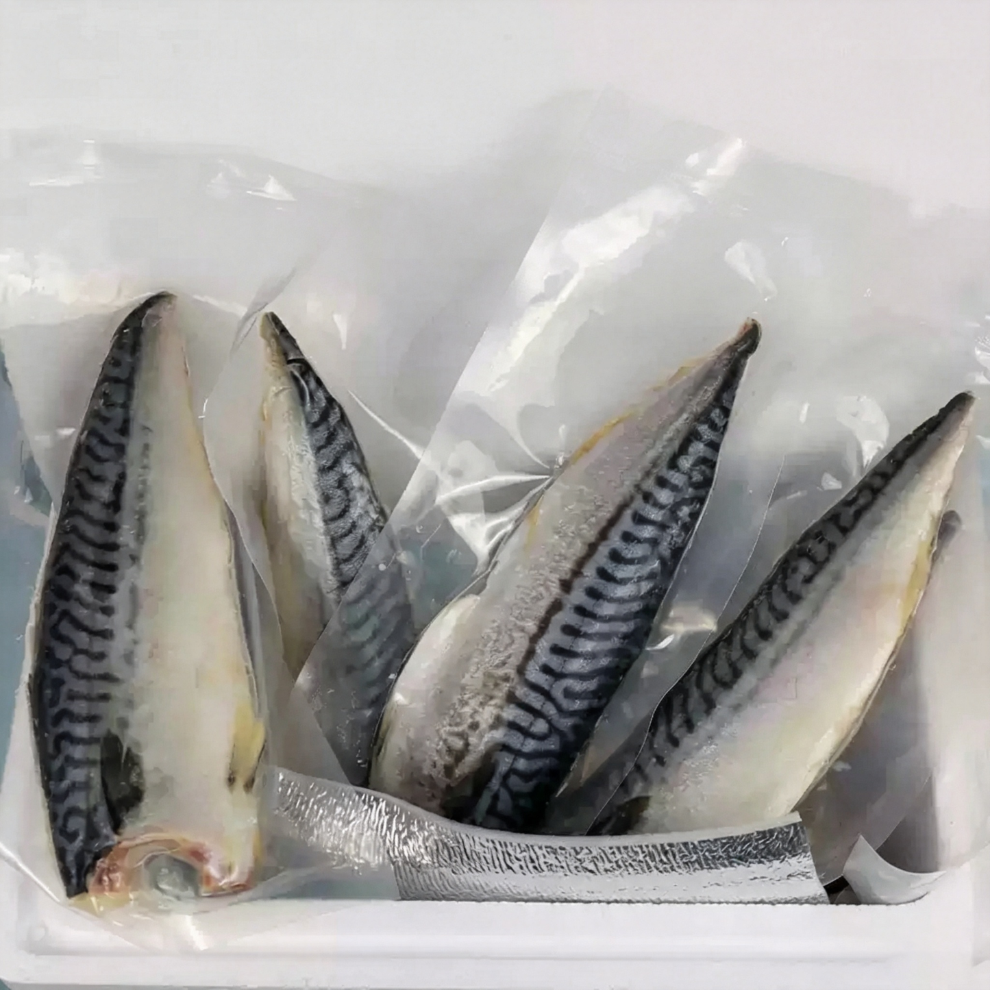 Frozen Norwegian Mackerel Fillets