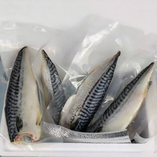 Frozen Norwegian Mackerel Fillets
