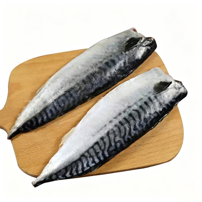 Frozen Norwegian Mackerel Fillets